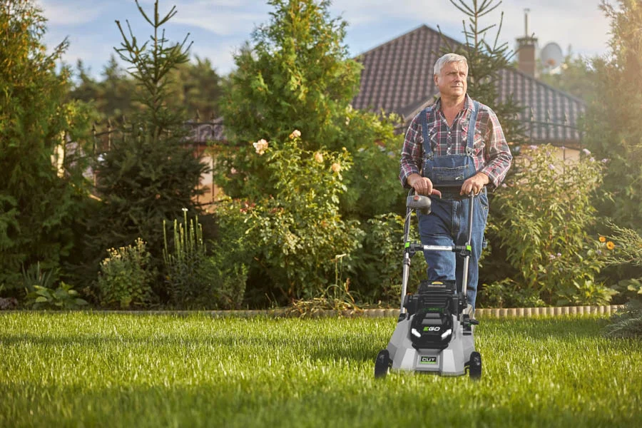 small battery lawn mower